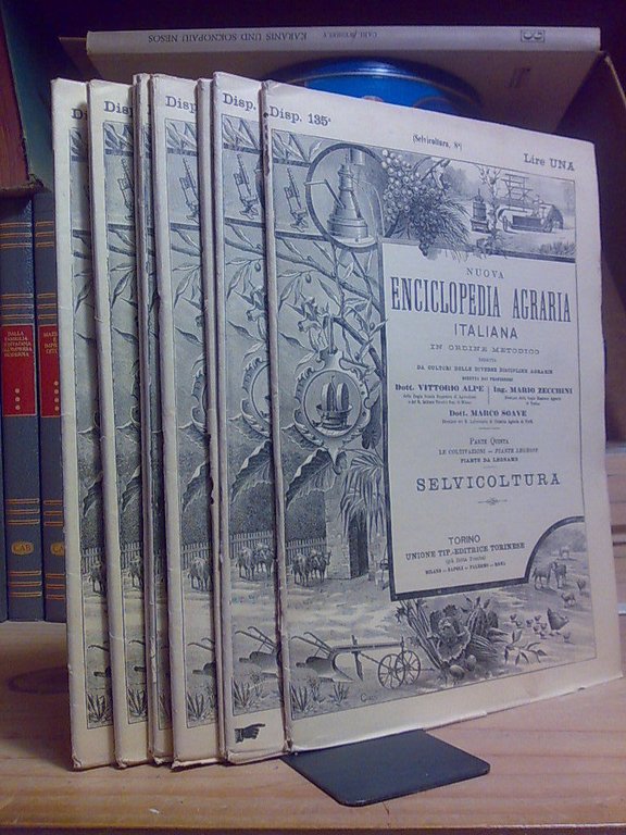 SELVICOLTURA / Nuova Enciclopedia Agraria Italiana - 1915 - in 8 uscite