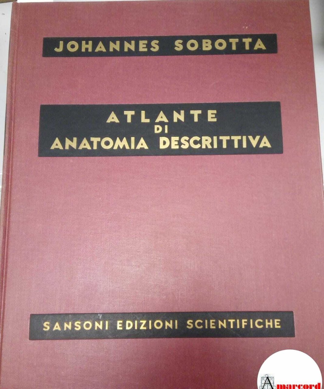 Sobotta Johannes, Atlante di anatomia descrittiva (Vol. 3), Sansoni Edizioni …