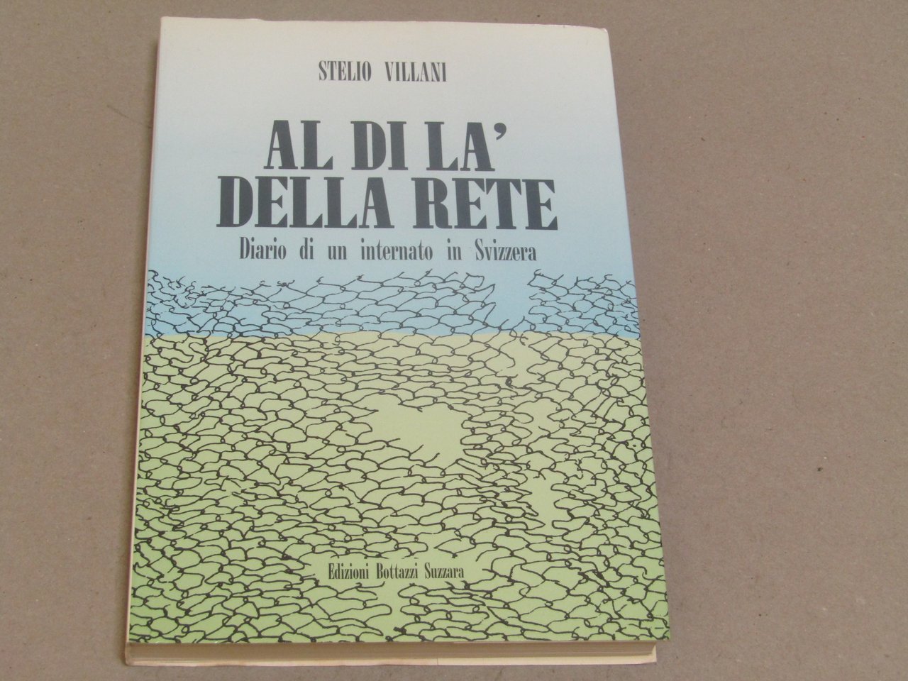 Stelio Villani. Al di là della rete