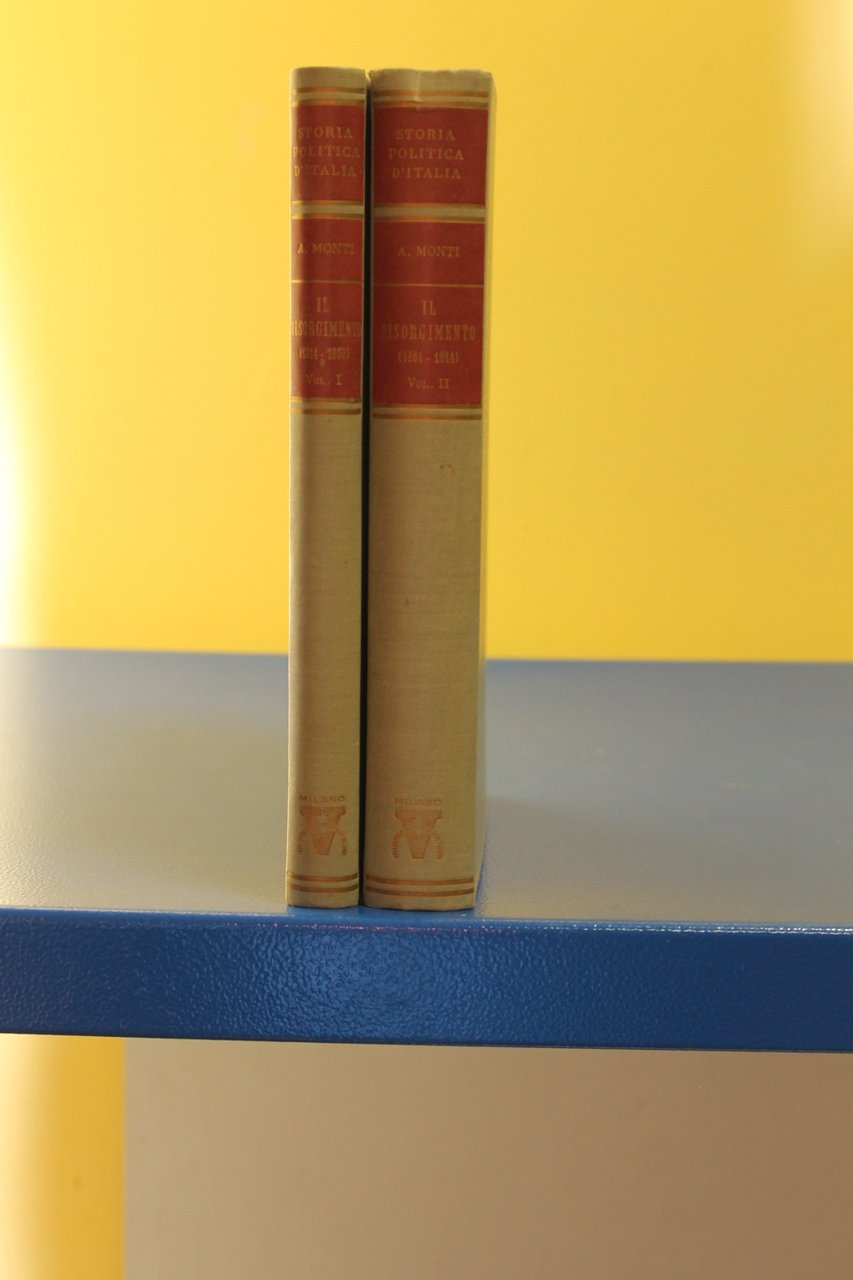 Storia politica d'Italia-Il Risorgimento