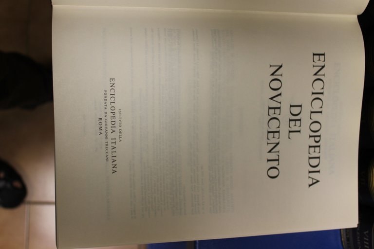 Treccani - Enciclopedia del Novecento