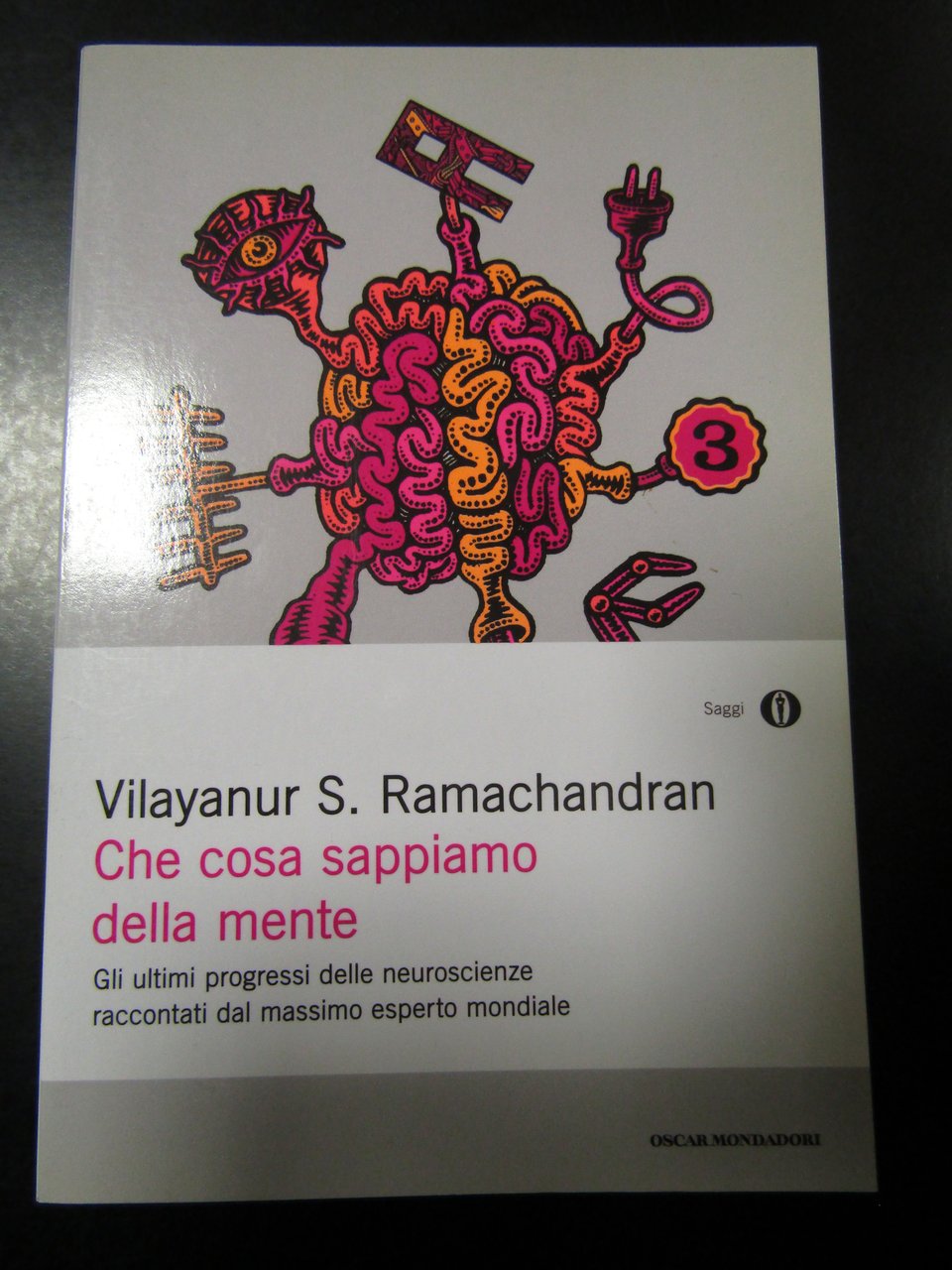 Vilayanur S. Ramachandran. Che cosa sappiamo della mente. Mondadori 2009.