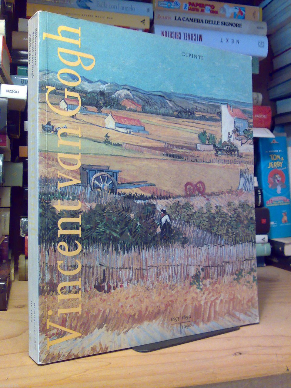 VINCENT VAN GOGH - volume dei dipinti 1990
