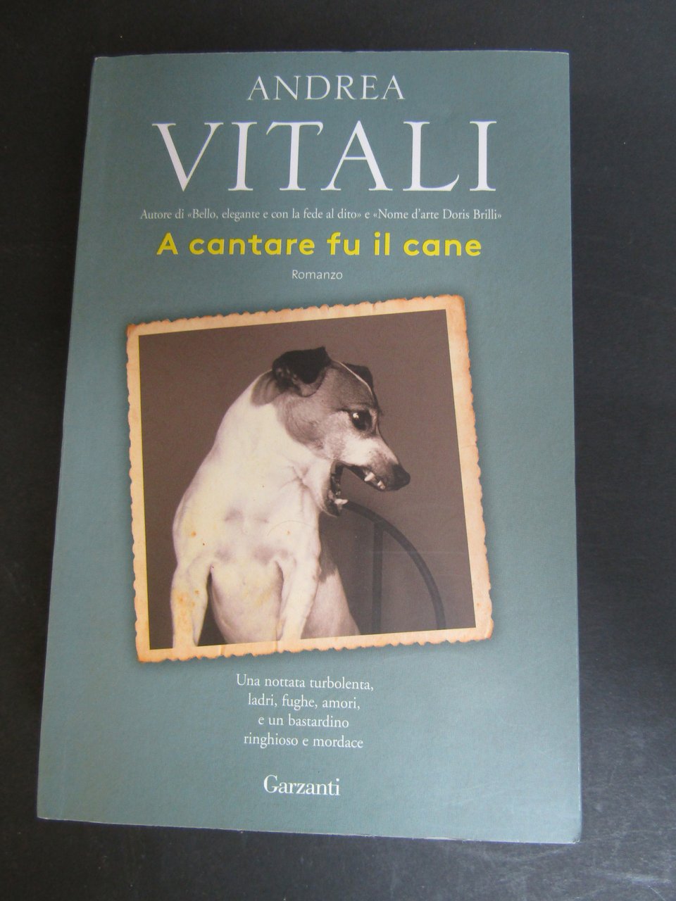Vitali Andrea. A cantare fu il cane. Garzanti. 2018-I | Immagine principale