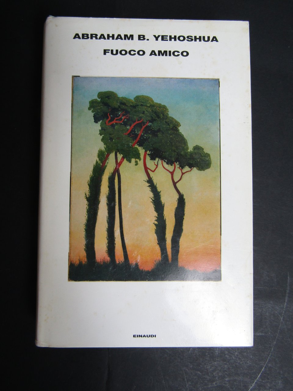 Yehoshua B. Abraham. Fuoco amico. Einaudi. 2008-I | Immagine principale