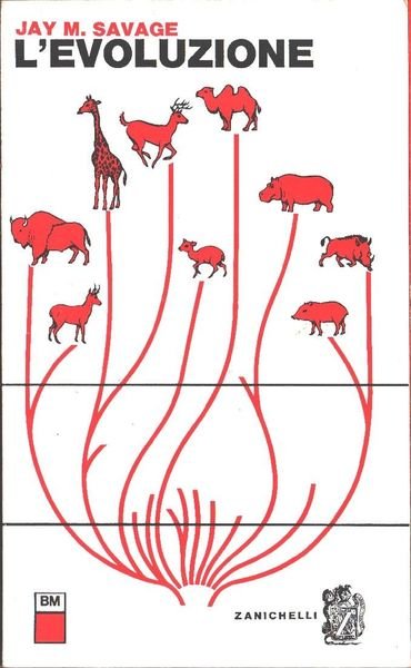 L'evoluzione - Jay M. Savage