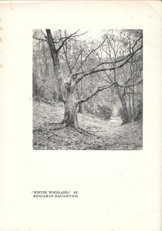A Star to the Rescue by G.I. Gaze/Winter Woodland by …