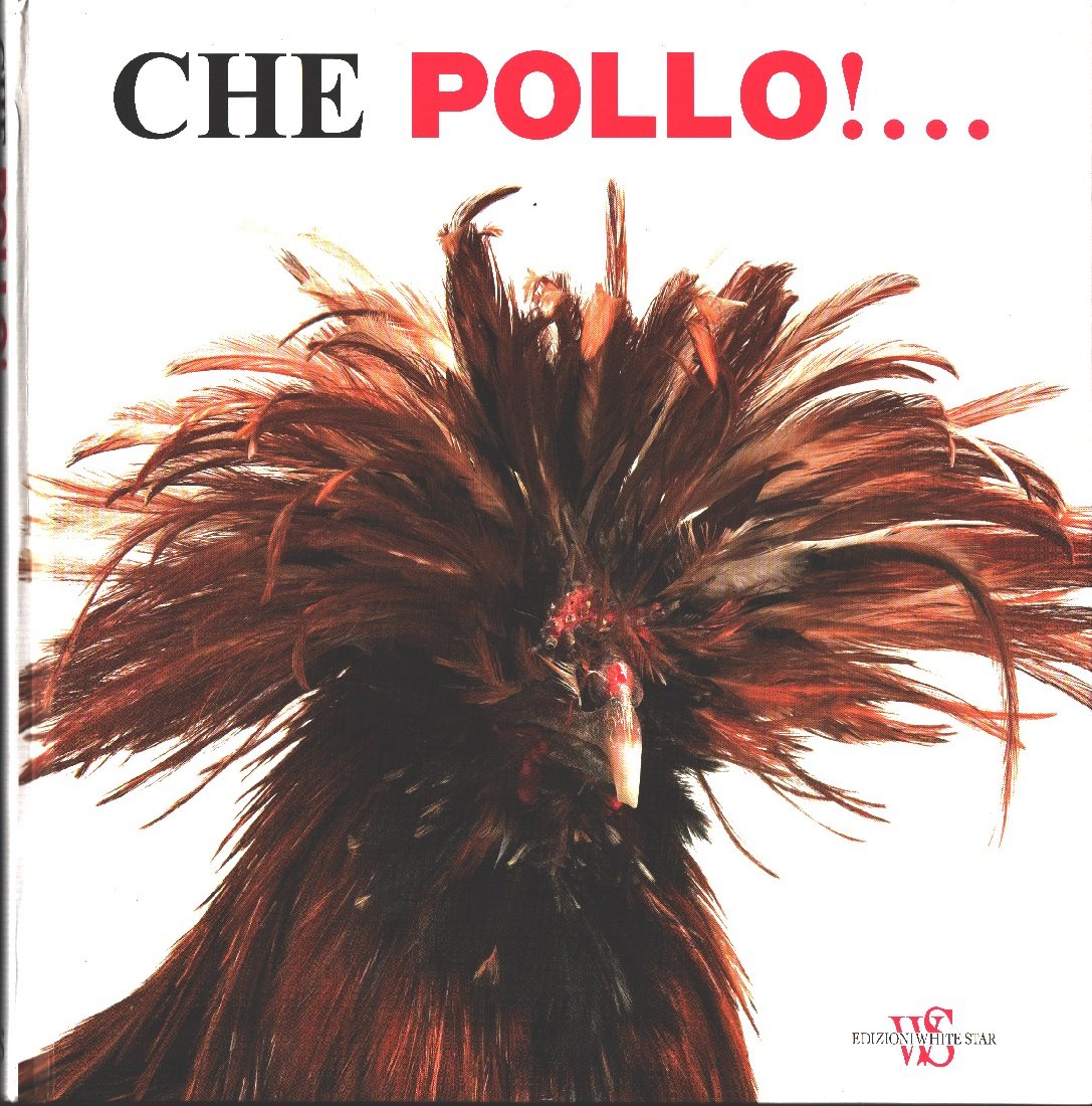 AA.VV. - Che Pollo!.... - White Star - Novara - …