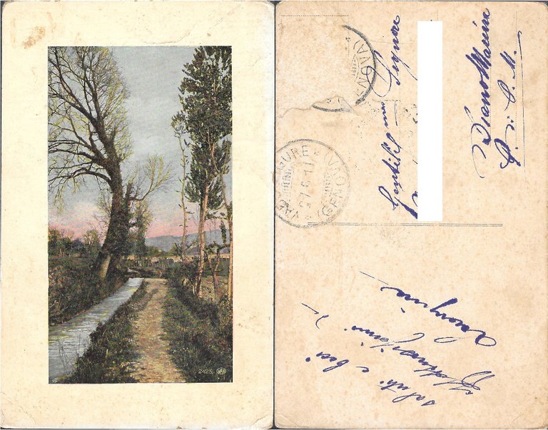Alberi sulla riva del canale. Viaggiata