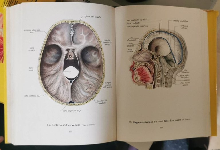 Anatomia umana normale (2 voll.); Dizionario medico