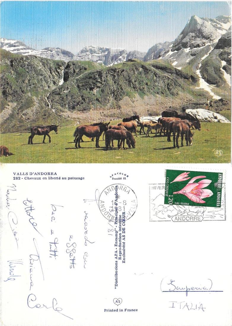 Andorra. Chevaux en libertè au paturage. Viaggiata 1981