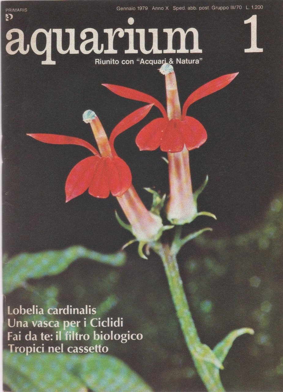 Aquarium. 1979 n 1