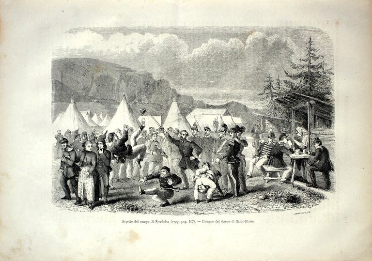Aspetto del campo di Sjordalen (Norvegia). Stampa 1864