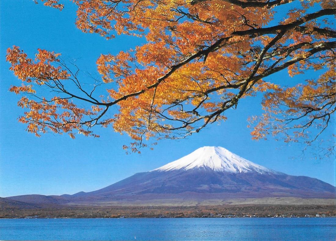 Beautifully tinted autum leaves of Lake Yamanaka and Mt. Fuji. …