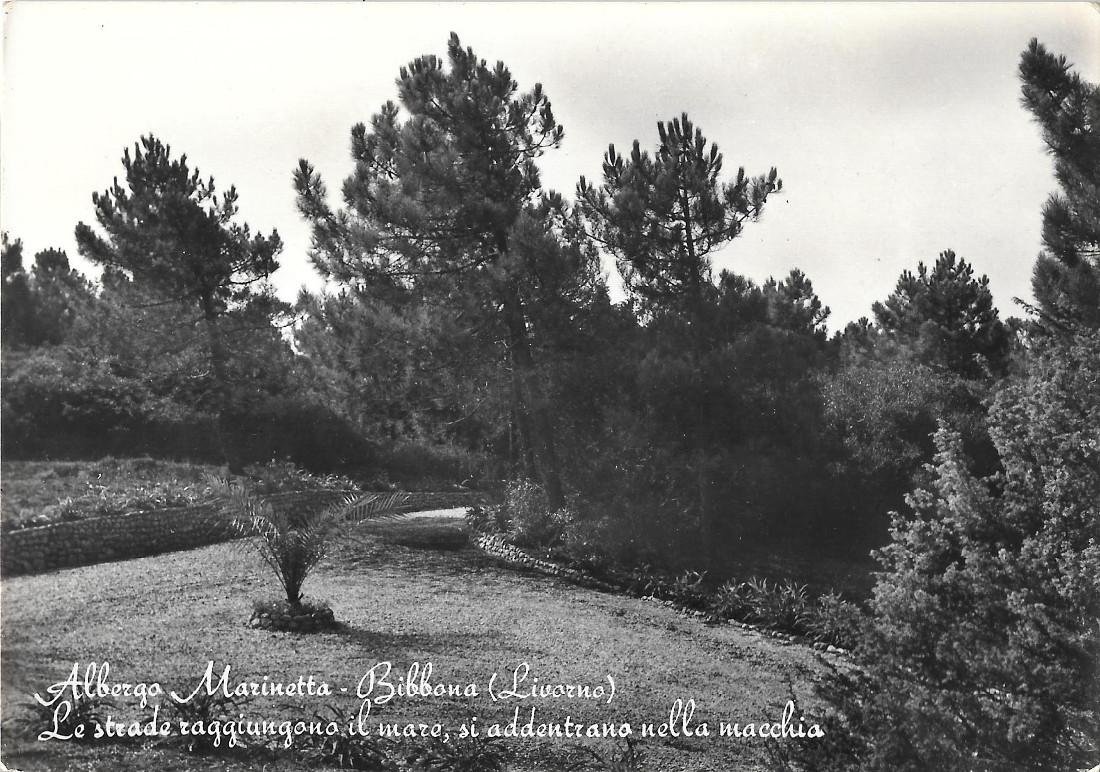 Bibbona (LI). Albergo Marinetta. Non viaggiata, anno edizione 1955
