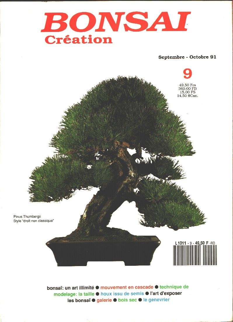 Bonsai creation. N. 9. Sett/ott 1991