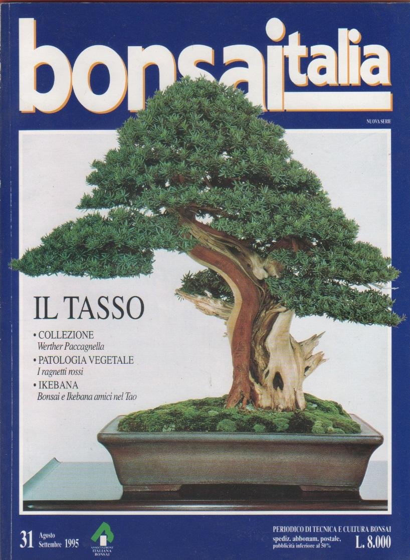 Bonsai Italia. n. 31. agosto/settembre 1995