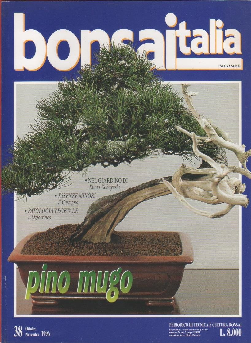 Bonsai Italia. n. 38. ottobre/novembre 1996