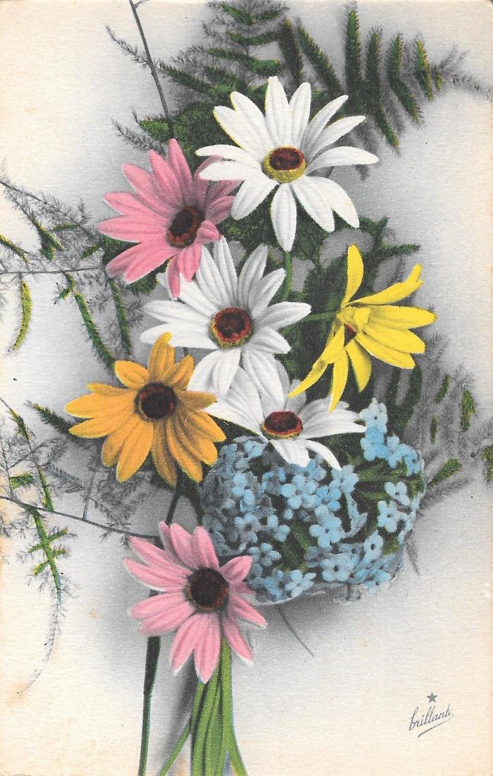 Bouquet con margherite. non viaggiata, originale