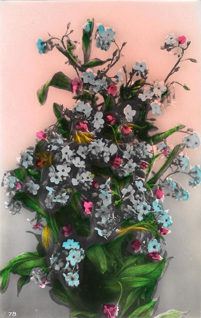Bouquet di fiori azzurri e rossi. Non viaggiata, stampa 1942
