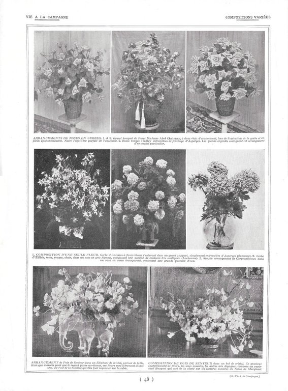 Bouquets Japonais / Compositions variées - Immagine 1928