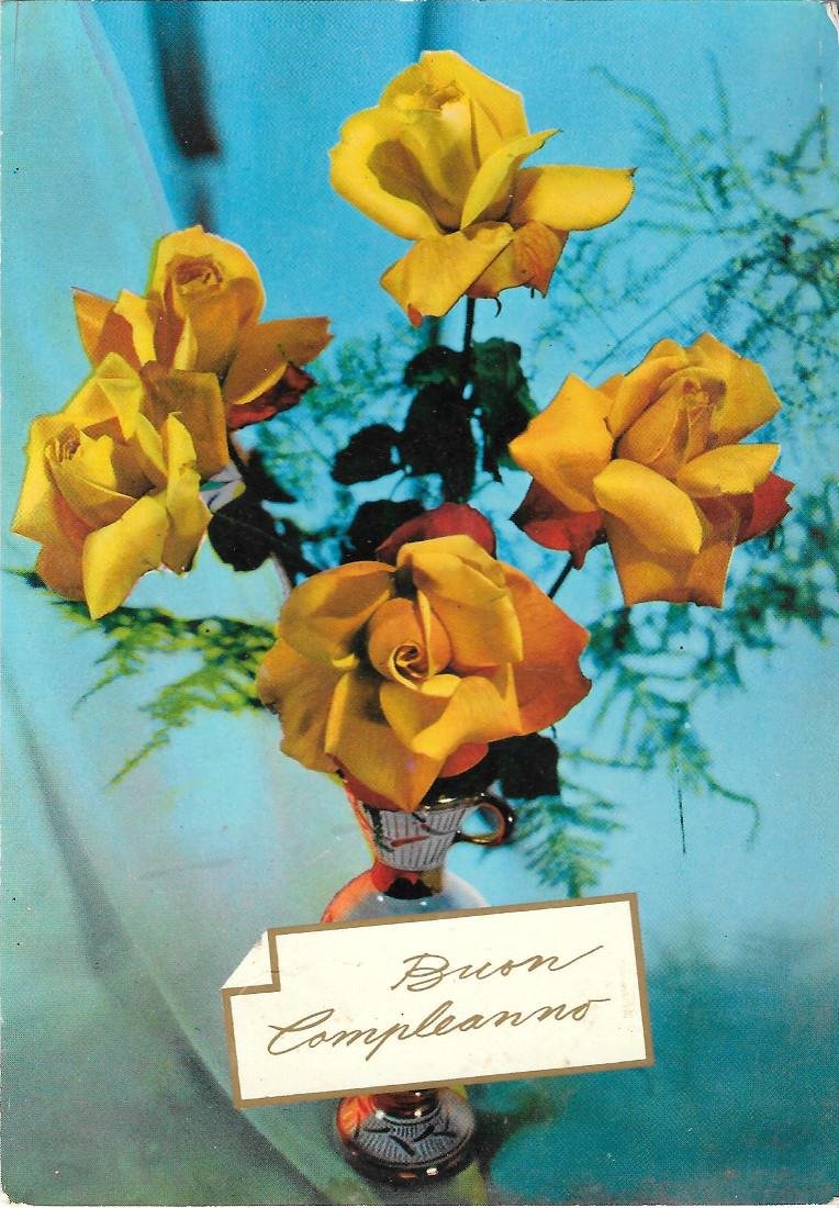 Buon Compleanno. Rose Gialle. Alterocca. Non viaggiata | Immagine principale