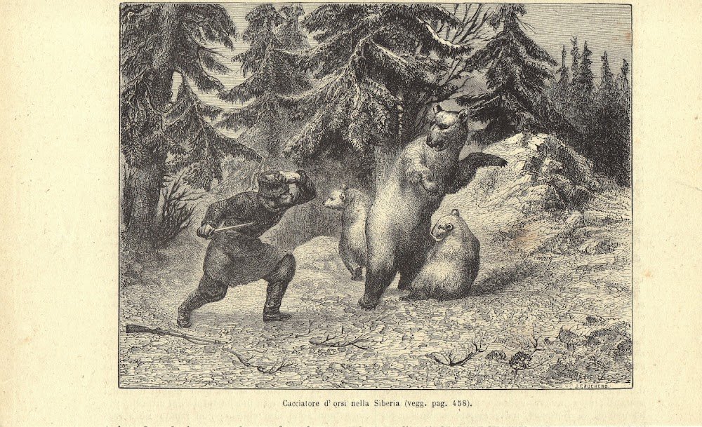 Cacciatore d'orsi nella Siberia. Stampa 1863. | Immagine principale