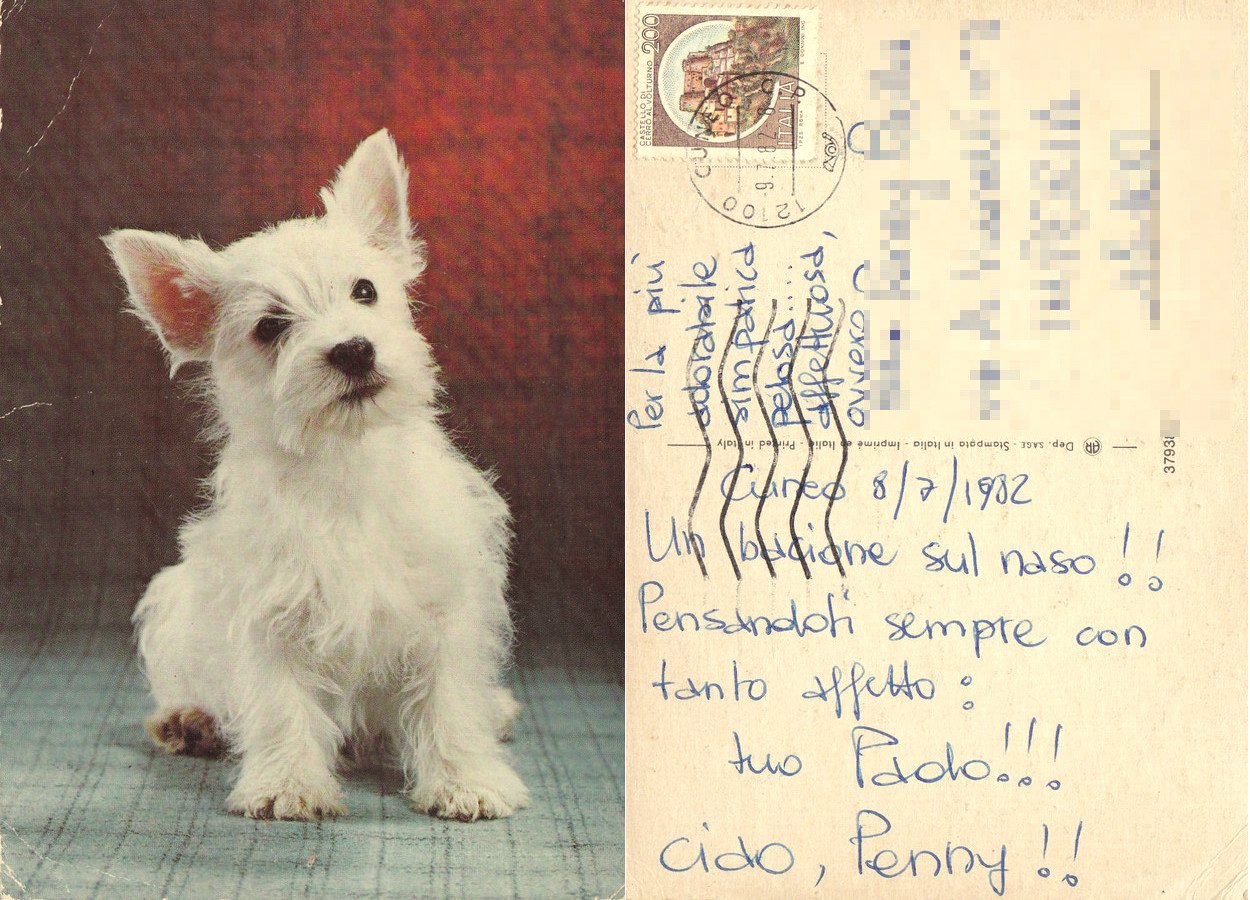 Cagnolino bianco. Viaggiata 1982
