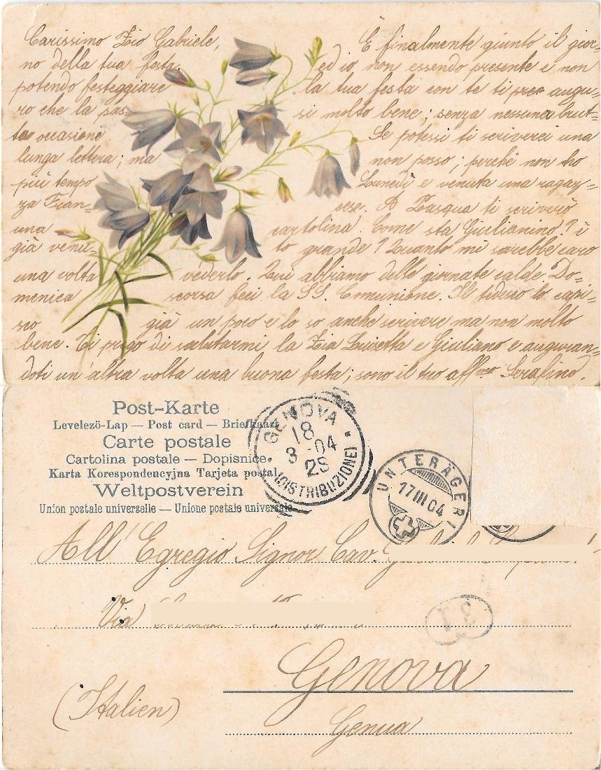 Campanule. Viaggiata 1904 | Immagine principale