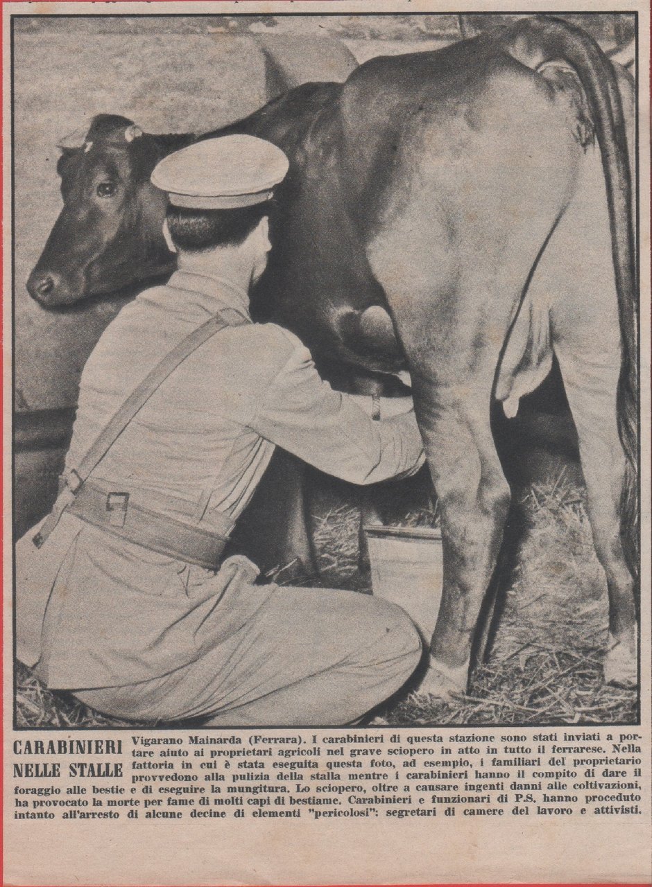 Carabinieri nella stalle a Vigarano Mainarda (FE) per lo sciopero. …