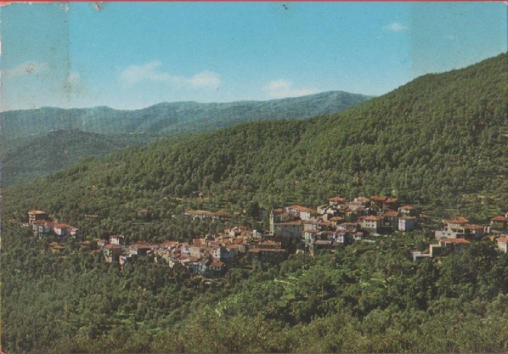 Caravonica panorama Non viaggiata