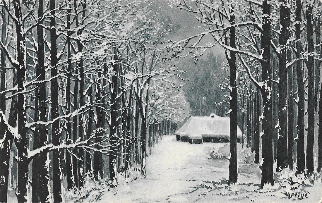 Casetta nel bosco innevato. Non viaggiata, originale