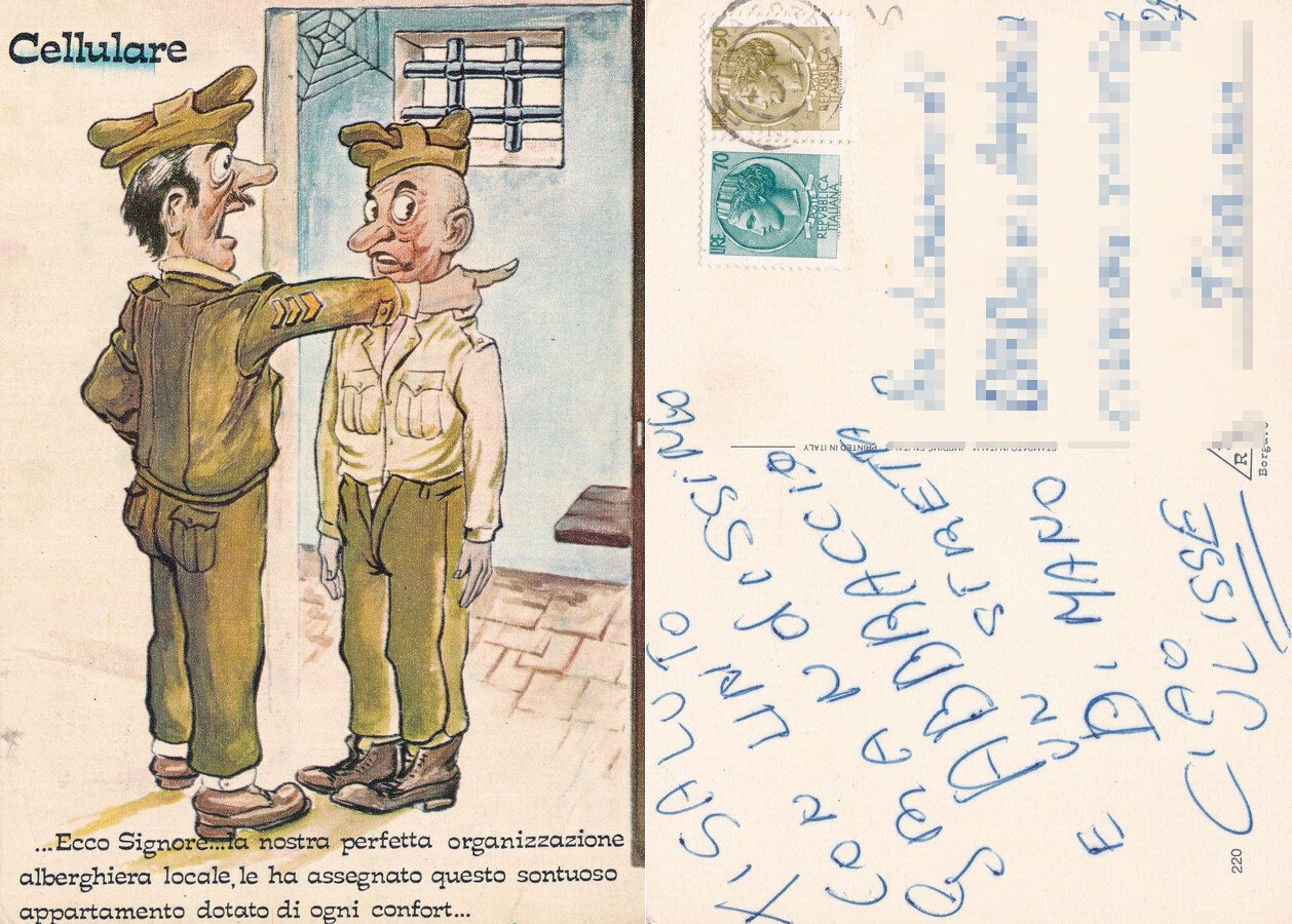 Cellulare (naja). Viaggiata