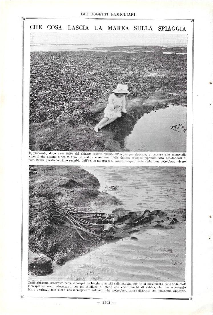 Che cosa lascia la marea sulla spiaggia. Stampa 1923