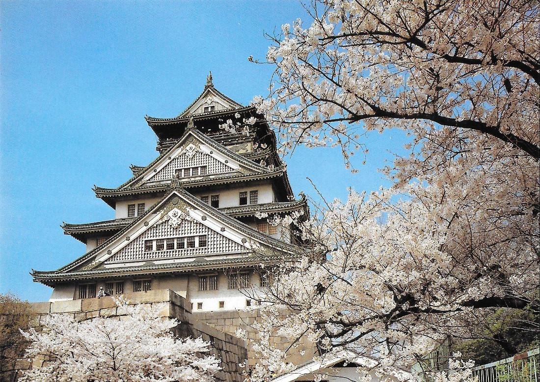Cherry Blossoms and Castle Tower. Osaka Castle. Non viaggiata | Immagine principale