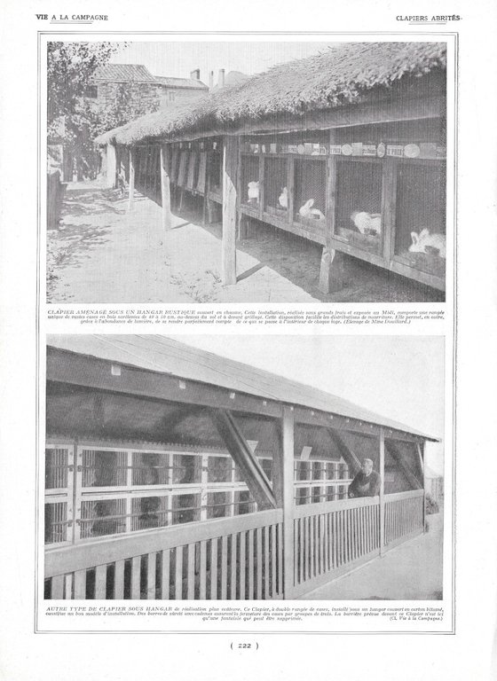 Chevaux de Selle / Clapiers Abrités - Immagine 1924