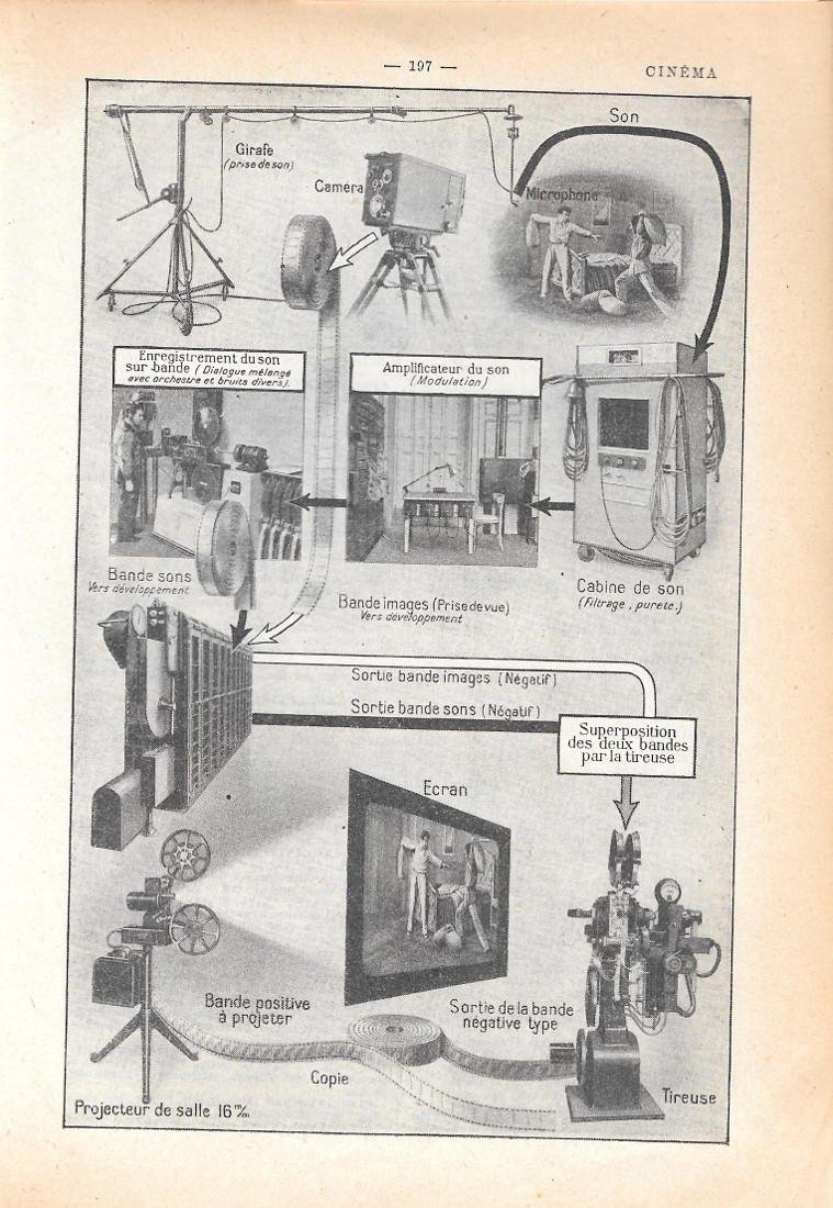 Cinema. Stampa 1954