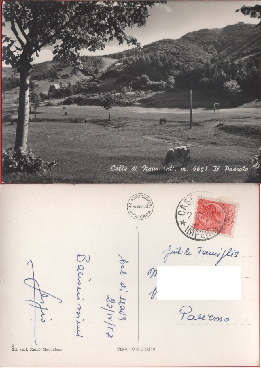 Colle di Nava (IM). Il pascolo. Viaggiata 1957