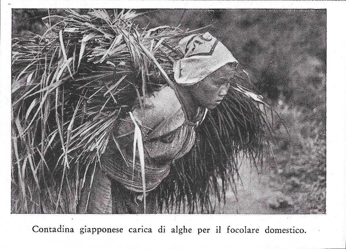 Contadina giapponese carica di alghe per il focolare domestico. Stampa …