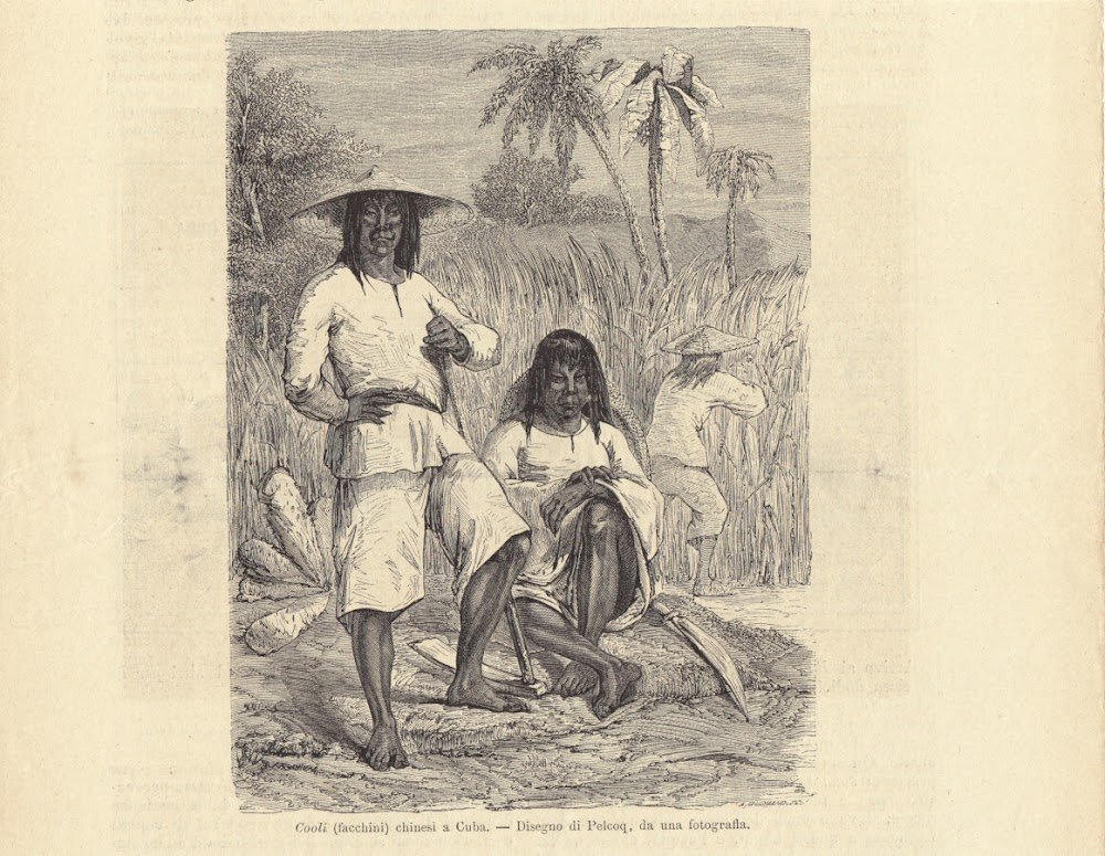 Cooli cinesi a Cuba/Carta dell'isola di Cuba. Illustrazione 1864