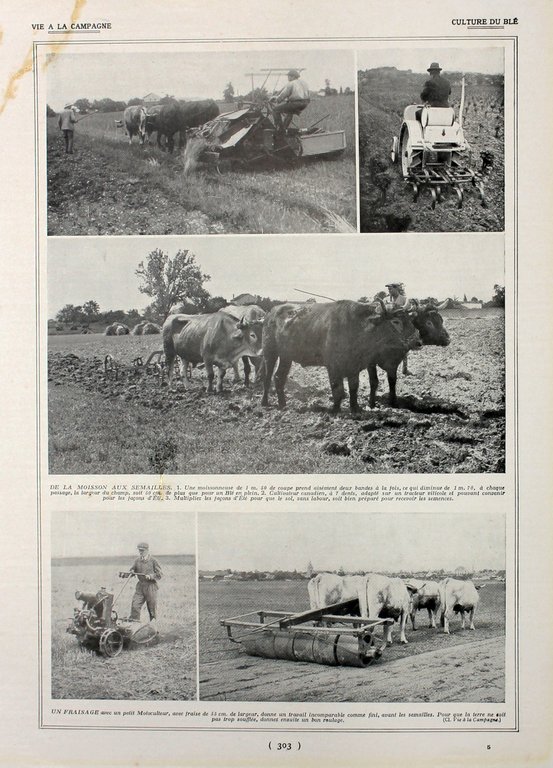 Culture du ble. due pagine. Immagine 1927