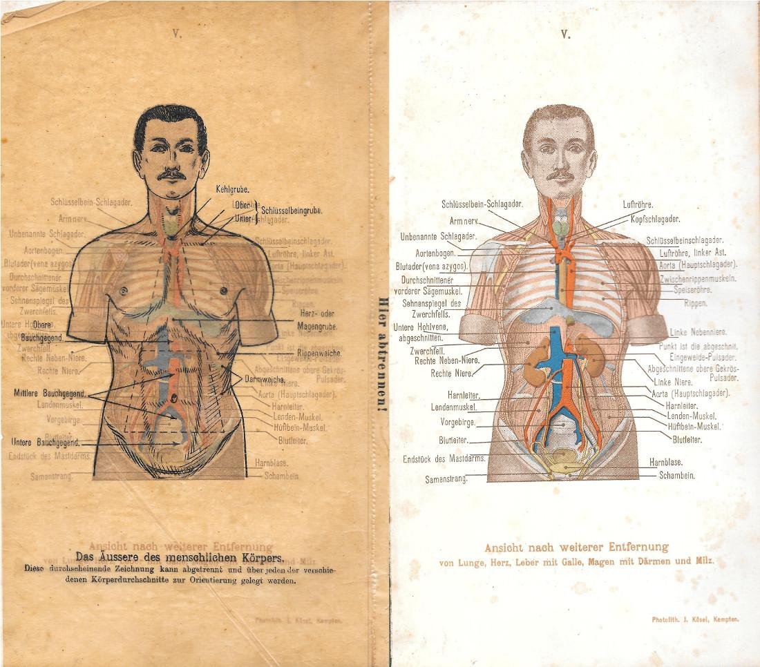 Das Aussere des menschlichen Korpers. Stampa 1903
