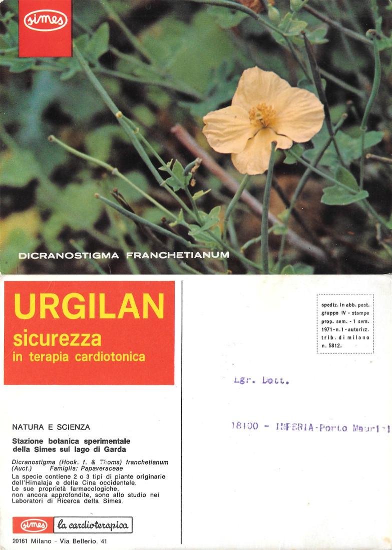 Dicranostigma Franchetianum. Cartolina pubblicitaria Urgalan. Simes