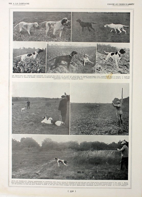 Dindons/Chasse au chien d'arret. Fronte/retro. Immagine 1927