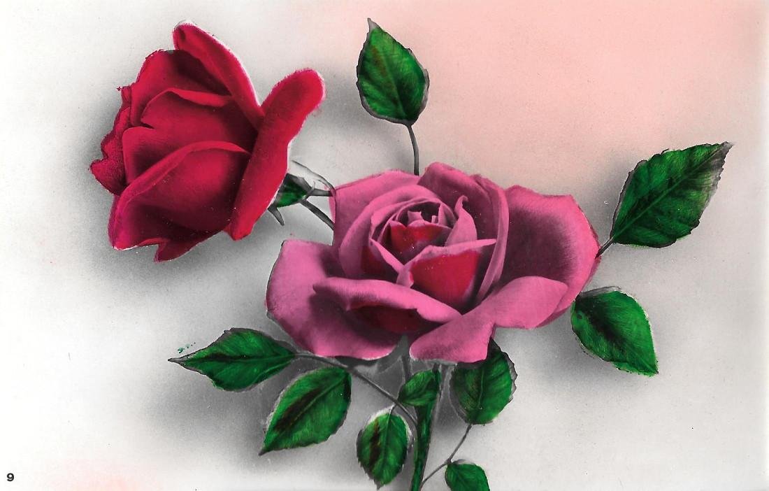 Due rose Non viaggiata, stampa 1942