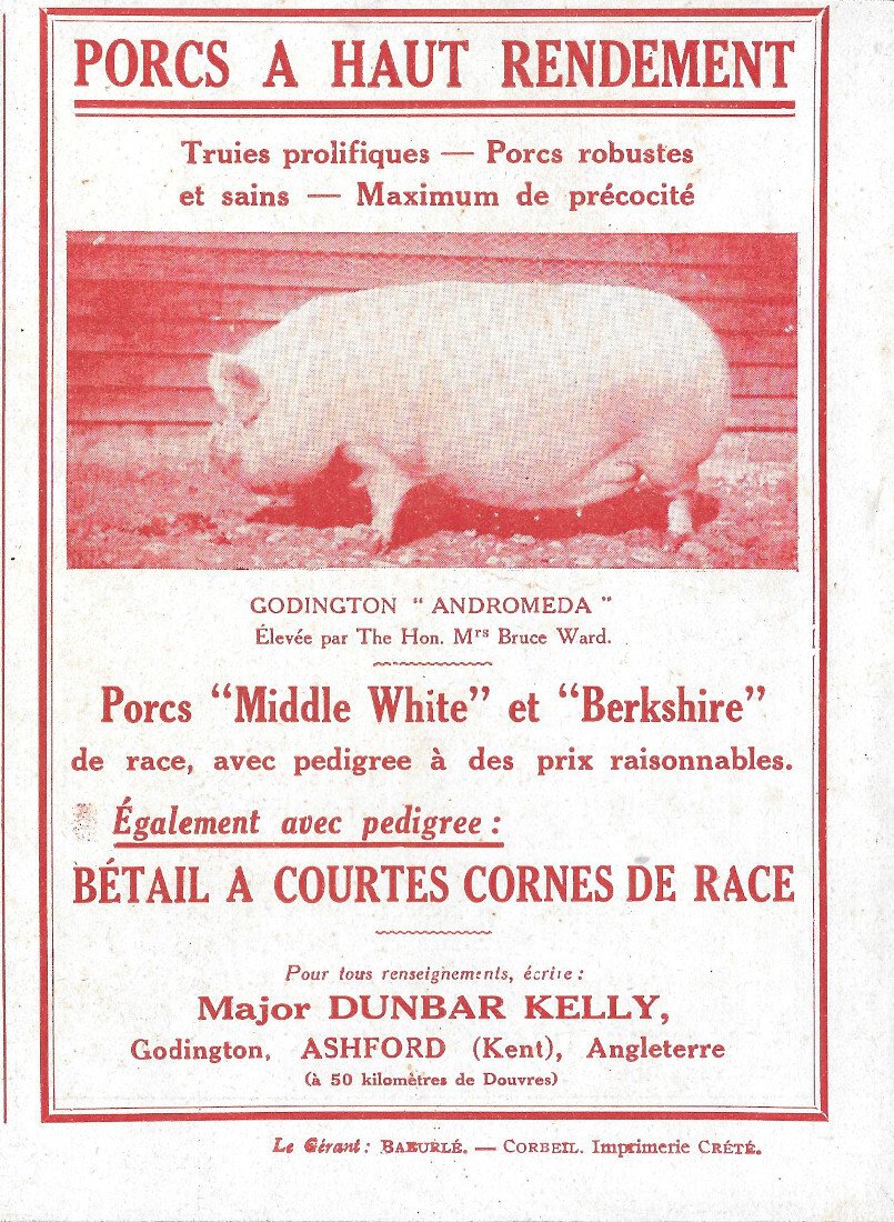 Dunbar Kelly (Ashford, Kent) porcs a haut rendement - Advertising …