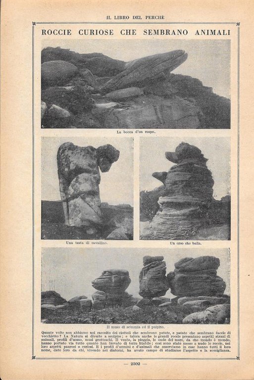 Ecco la vostra saponetta/Rocce curiose che sembrano animali. Stampa 1923, …