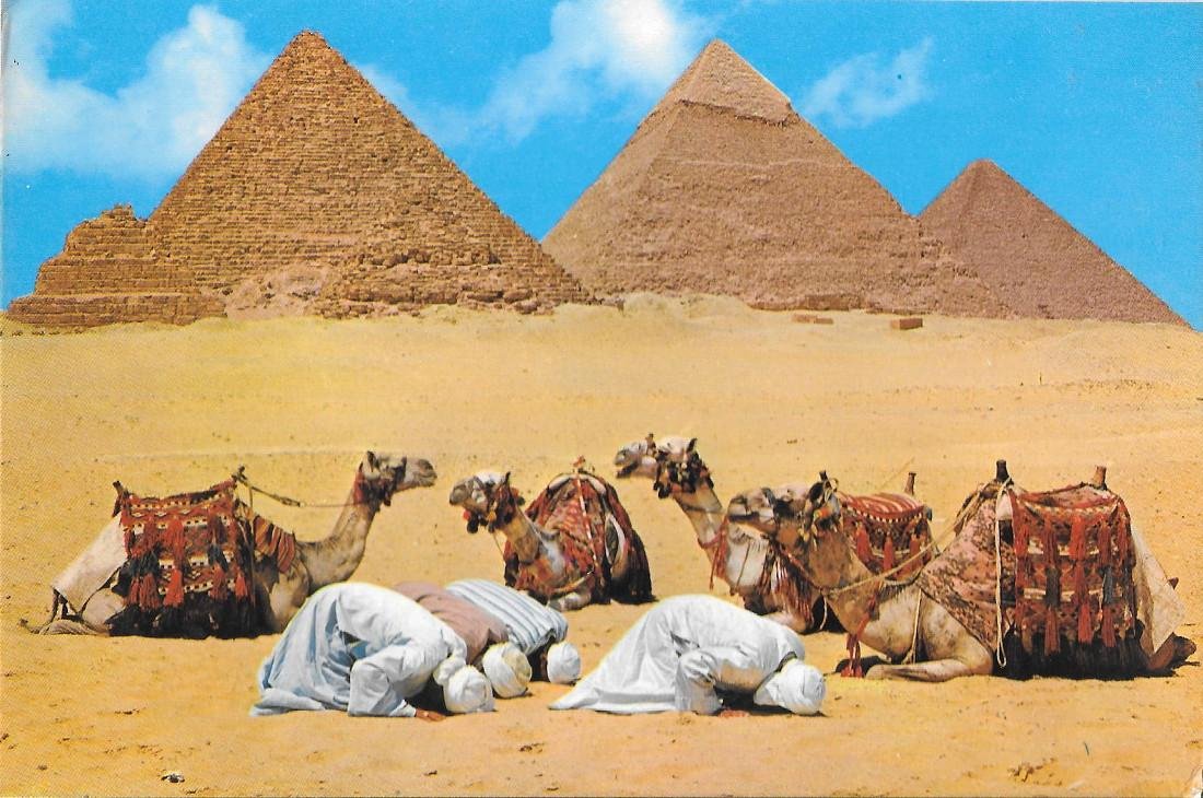 Egypt. Giza. Prayer near the Pyramids n. 2. Non viaggiata