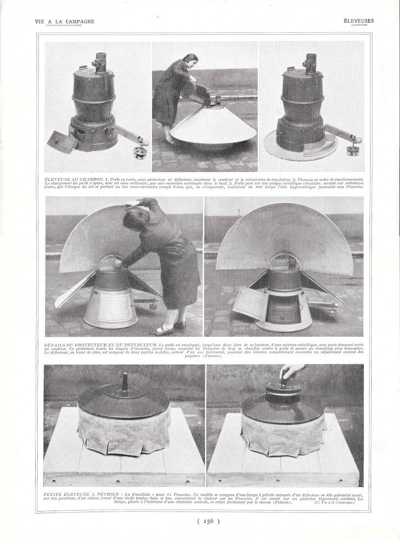 Eleveuses des poussins / Elevage de lapins - Immagine 1928