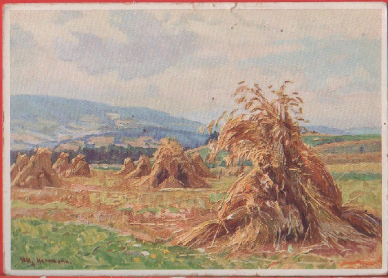 Erntezeit (W. Herrmann). Non viaggiata